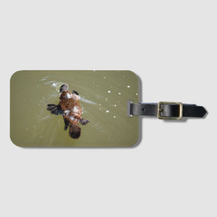 PLATYPUS U. LIBELLE EUNGELLA QUEENSLAND AUSTRALIEN GEPÄCKANHÄNGER