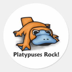 Platypuses Felsen! Runder Aufkleber