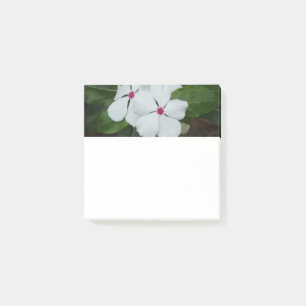 Platz der weißen hawaiianischen Blume Post-it Klebezettel