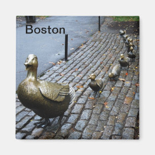 Platz für Ducklings machen Magnet