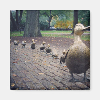 Platz machen für Ducklings Magnet