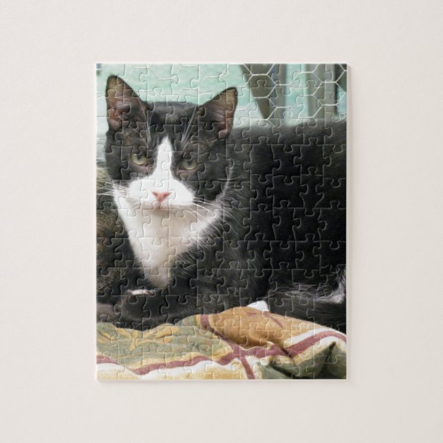 Plätzchen (Vertikal)