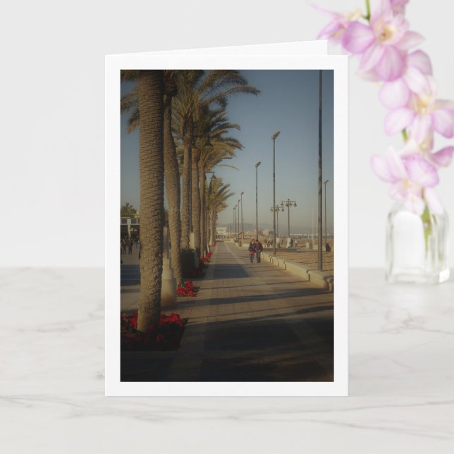 Playa de la Malvarrosa de Valencia Karte (Orchidee)