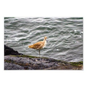 Playa Del Rey Fotodruck