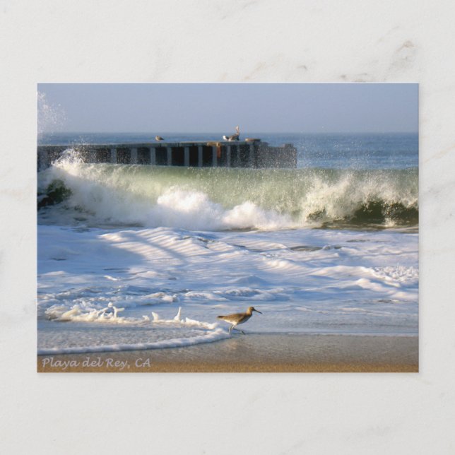 Playa del Rey Surf - Mike Izzo Postkarte (Vorderseite)
