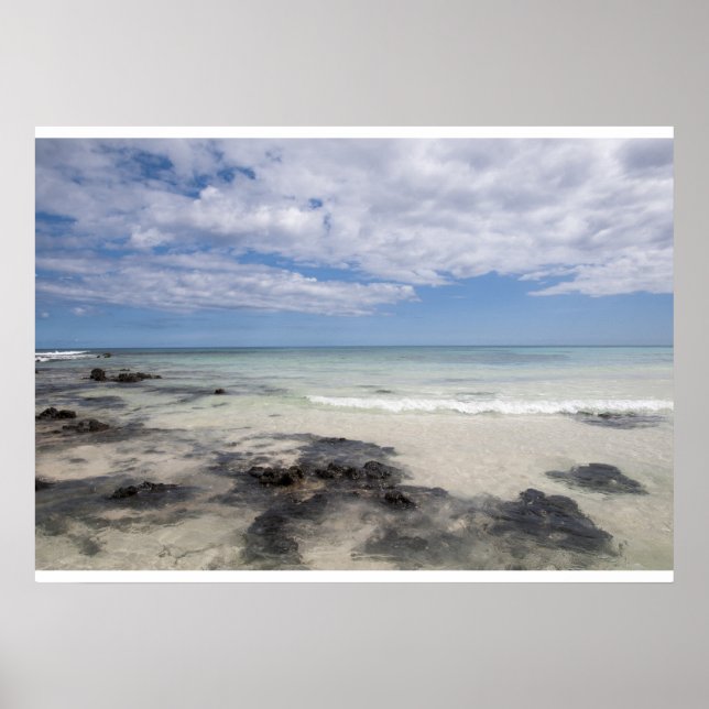 Playa padarisiaca poster (Vorne)