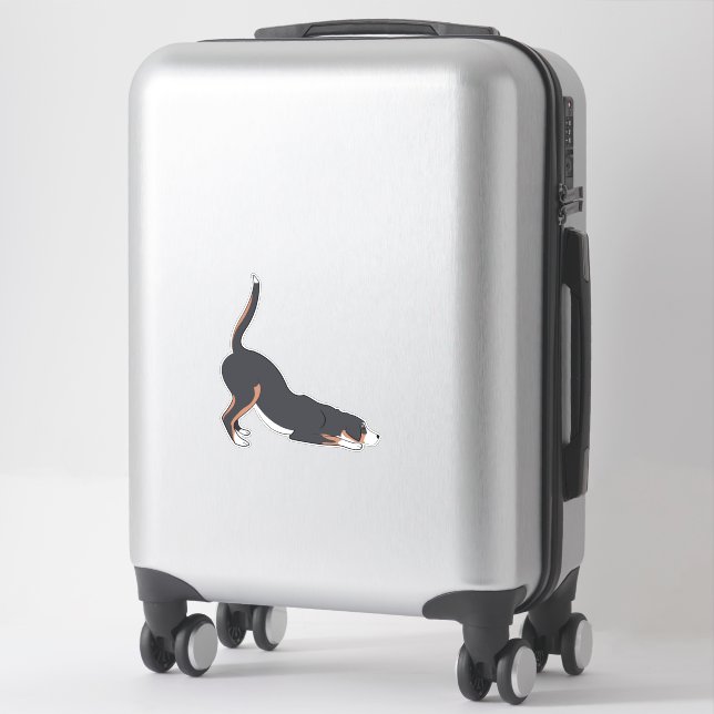 Playbow Swissy Sticker (Koffer)