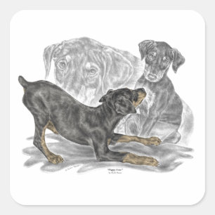Playful Doberman Pinscher Puppies Quadratischer Aufkleber