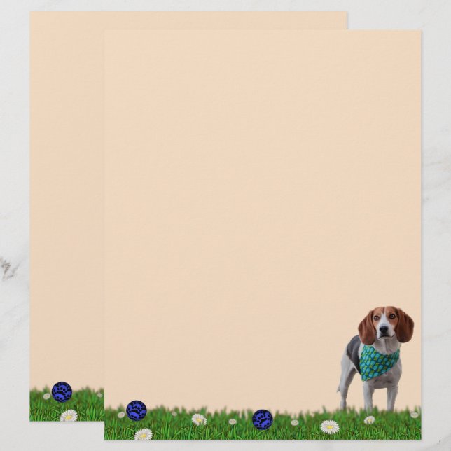 Playful Foxhound Stationery (Vorne/Hinten)