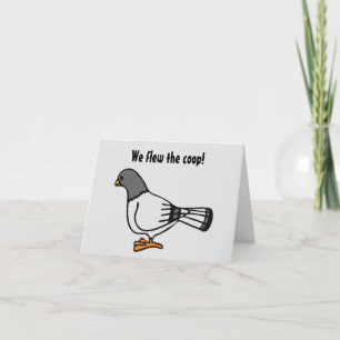 Playful Gray Pigeon Cartoon Neue Adresse Postkarte