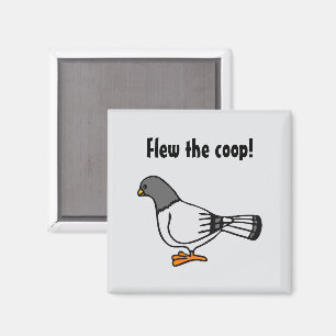 Playful Gray Pigeon Cartoon Neue Adresse Postkarte Magnet