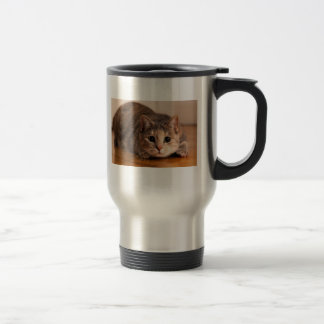 Playful Katzen-Tasse Reisebecher