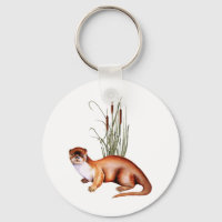 Playful Otter