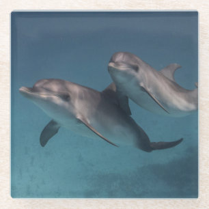 Playful Pose Glasuntersetzer