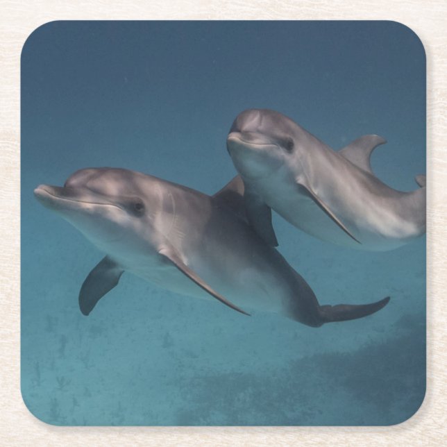 Playful Pose Rechteckiger Pappuntersetzer (Vorderseite)