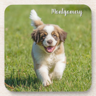 Playful St. Bernard Personalisiert Untersetzer Set