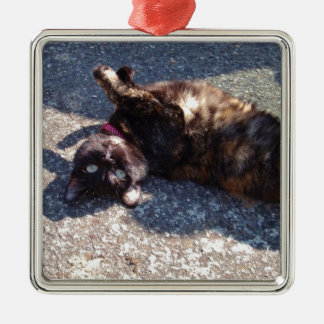 Playful Tortoiseshell Cat Silbernes Ornament