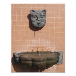 Plaza Cat Fountain Fotodruck