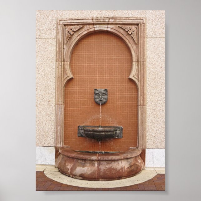 Plaza Cat Fountain Poster (Vorne)