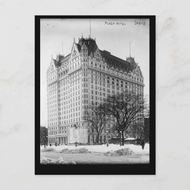 Plaza Hotel, New York City Vintag Postkarte (Vorderseite)