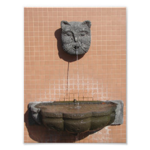 Plaza Katzenbrunnen Fotodruck