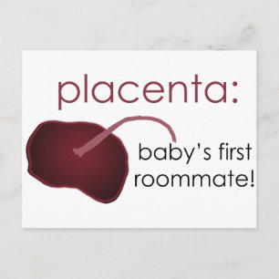 Plazenta, Baby's first roommat Postkarte