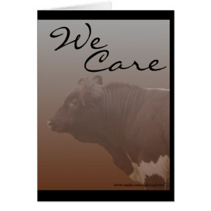 PLB--personnaliser-toute occasion