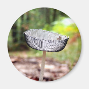 Pleased Inkcap Mushroom Magnet