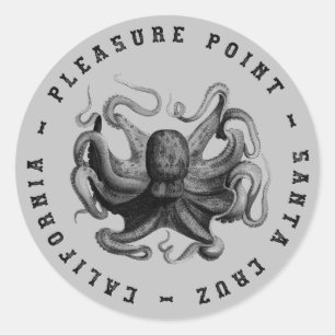 Pleasingplatz, Santa Cruz Octopus Runder Aufkleber