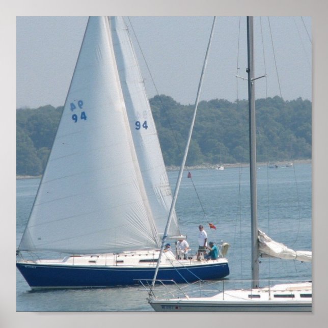 Pleasure Sail Poster (Vorne)