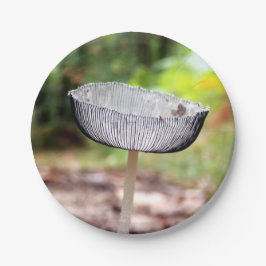 Pleated Inkcap Mushroom Paper Teller