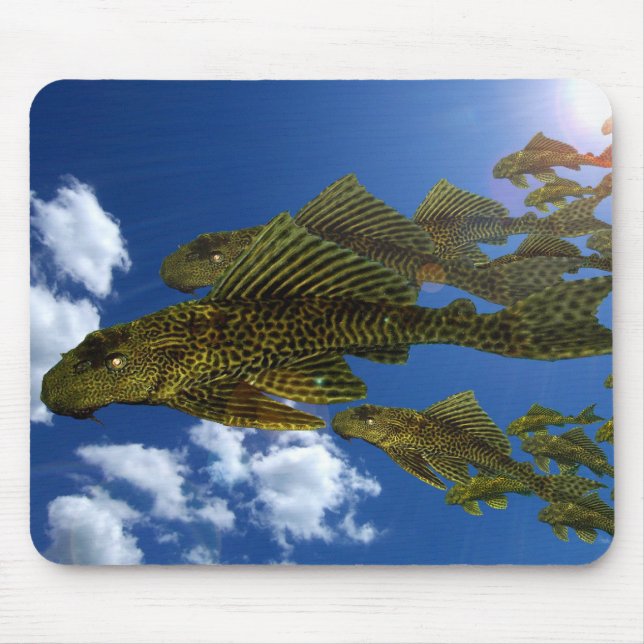 Pleco Migration #2 Mousepad (Vorne)