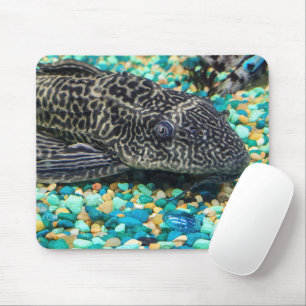 Plecostomus auf Kies Mousepad
