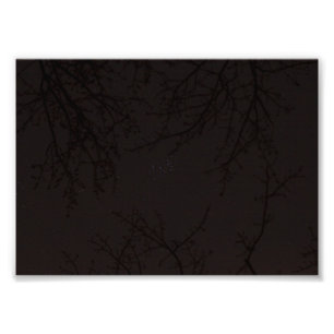 Pleiades (M45) Fotodruck