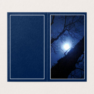 Pleine Lune de Minuit à Travers un Gros Arbre