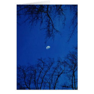 Pleine lune d'hiver avec des arbres