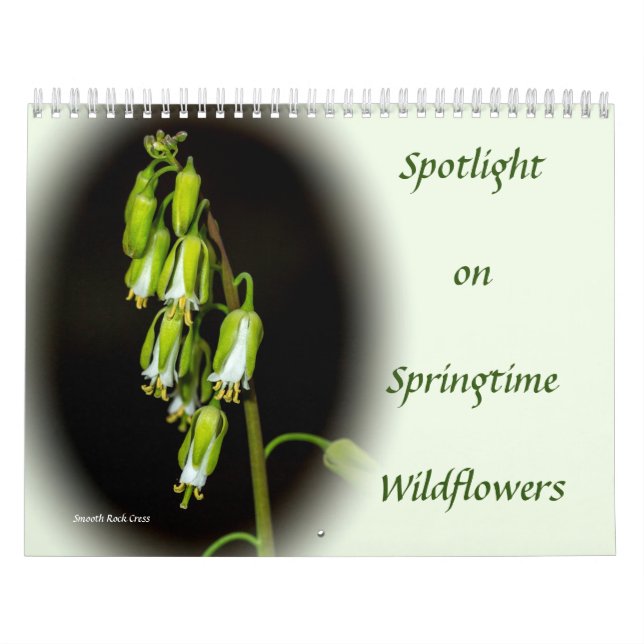 Pleins feux sur le calendrier des Fleurs sauvages  (Protection)
