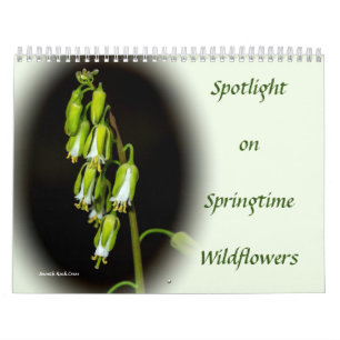 Pleins feux sur le calendrier des Fleurs sauvages 