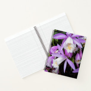 Pleione Fensterbrett-Orchideen Blumen Notizbuch