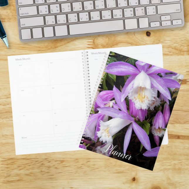 Pleione Windows Orchids Floral Planer (In Situ)