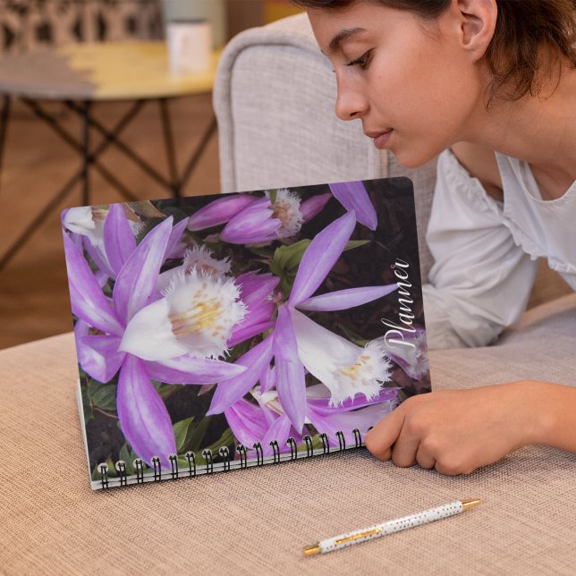 Pleione Windows Orchids Floral Planer (In Situ)