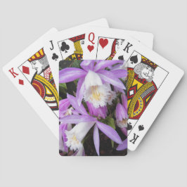 Pleione Windows Orchids Floral Spielkarten