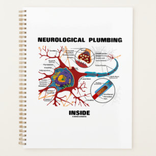 Plomberie neurologique à l'intérieur du neurone Sy