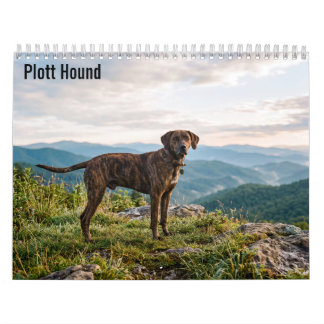 Plott Hound 2027 Wandkalender