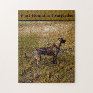 Plott Hound Dans Everglades Floride Jigsaw Puzzle