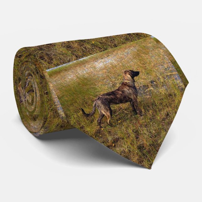 Plott Hound Hund Jagd Krawatte (Gerollt)