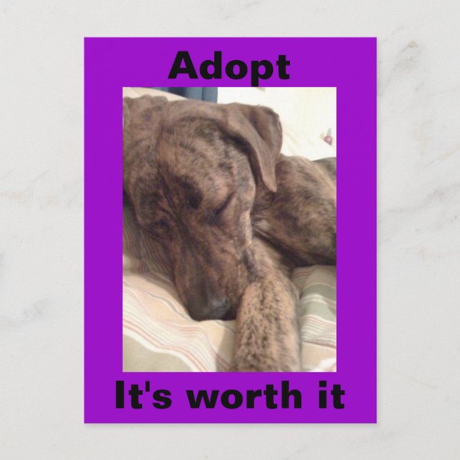 Plott Hound Postkarte (Vorderseite)