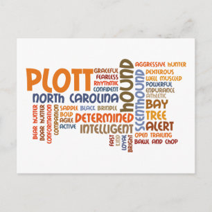 Plott Hound Postkarte