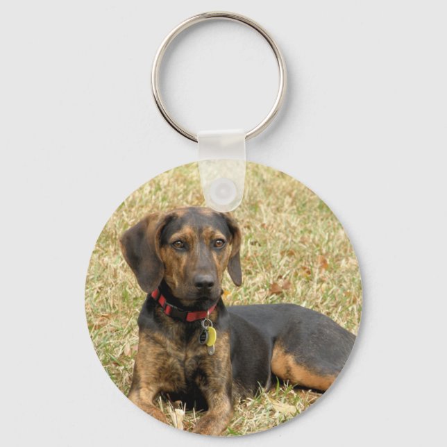 Plott Hound Schlüsselanhänger (Vorderseite)