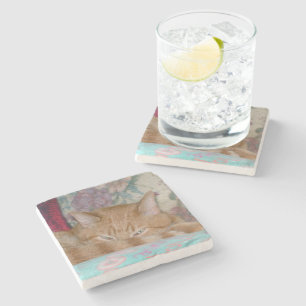 Plotting Steinuntersetzer